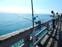 fishing from piers
